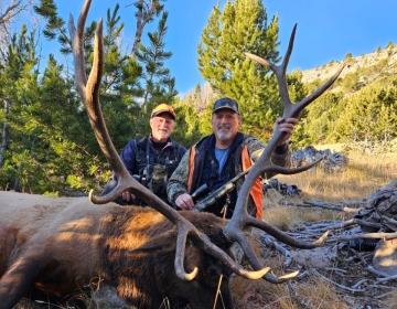 Wyoming Hunt8 Wilderness Elk 2023 Messenger